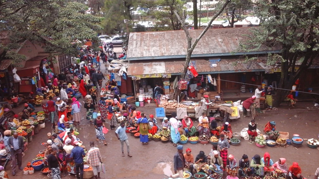 Tanzania: Livable Cities Project