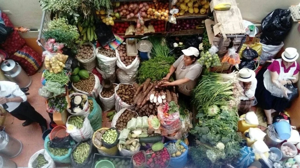 Evaluating and bringing to scale alternative food networks to address non-communicable disease in Ecuador