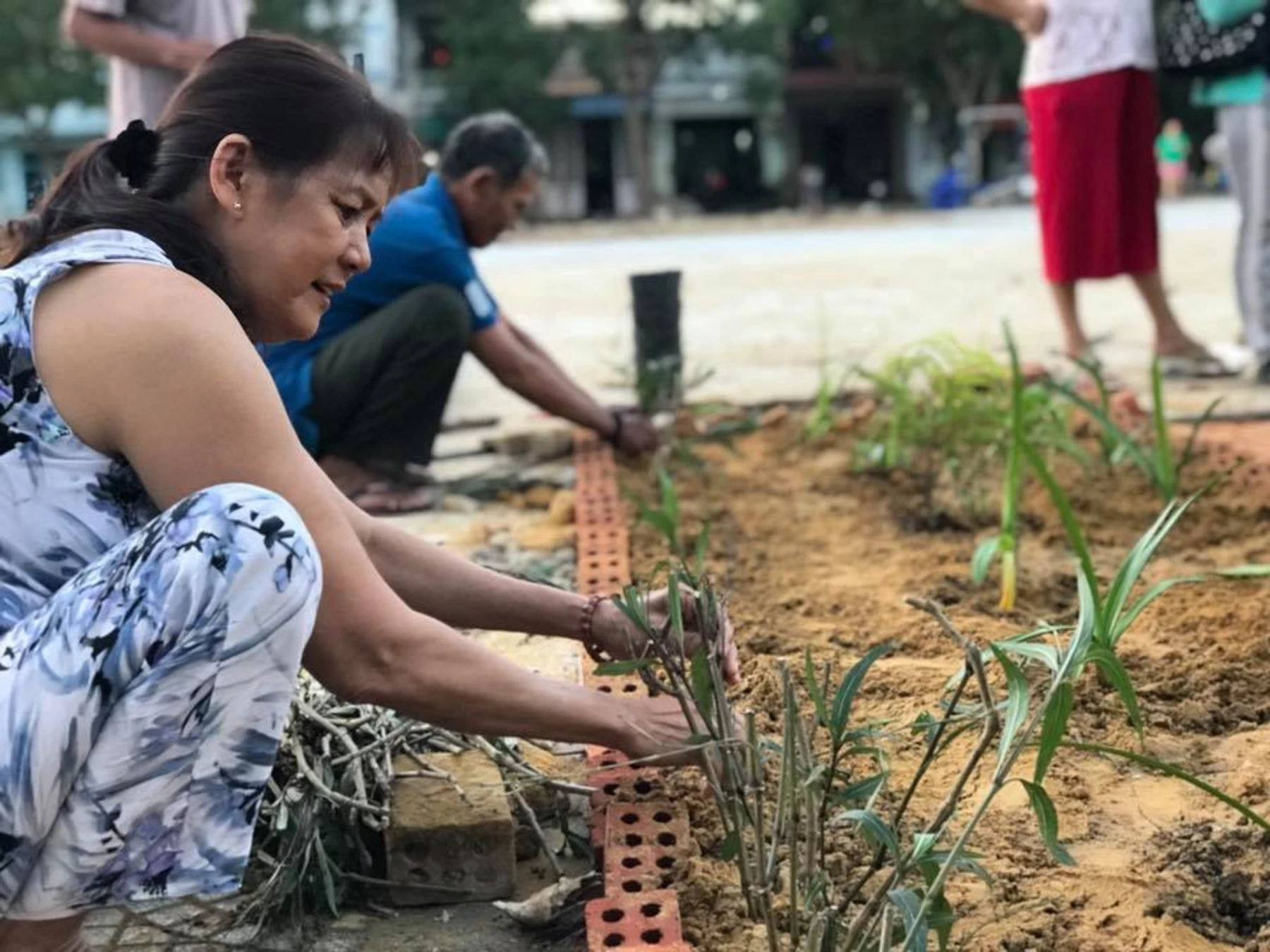 Community garden
