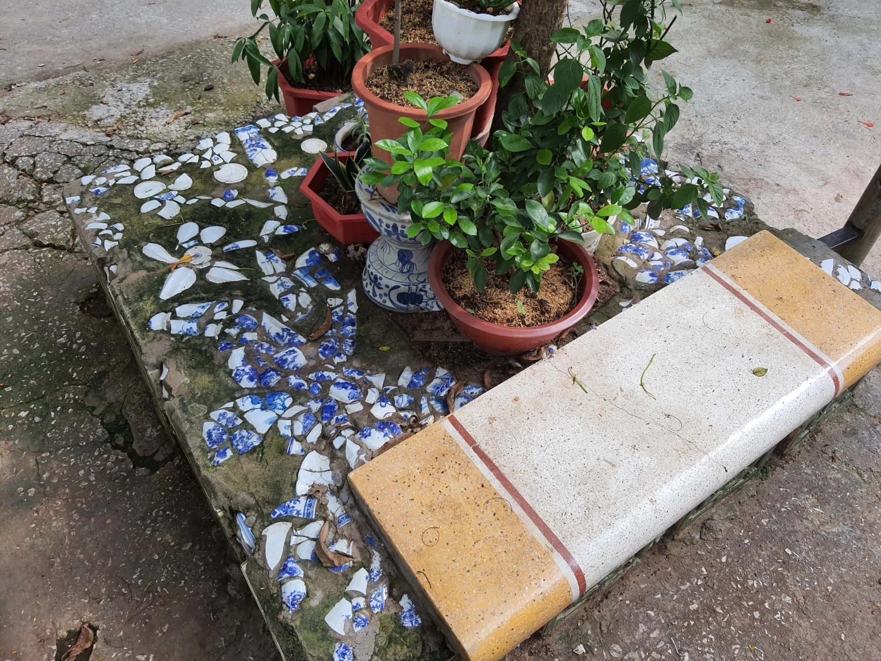 Courtyard 5