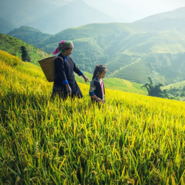 <p>Steps for Change raises $14,000 for MNCH in Nepal and Vietnam</p>
