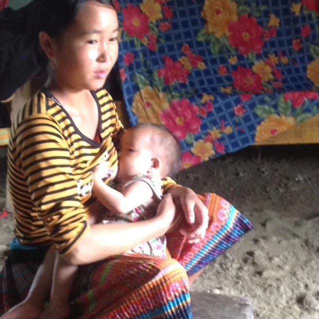 <p>Saving lives of women and children in Nepal and Vietnam</p>
