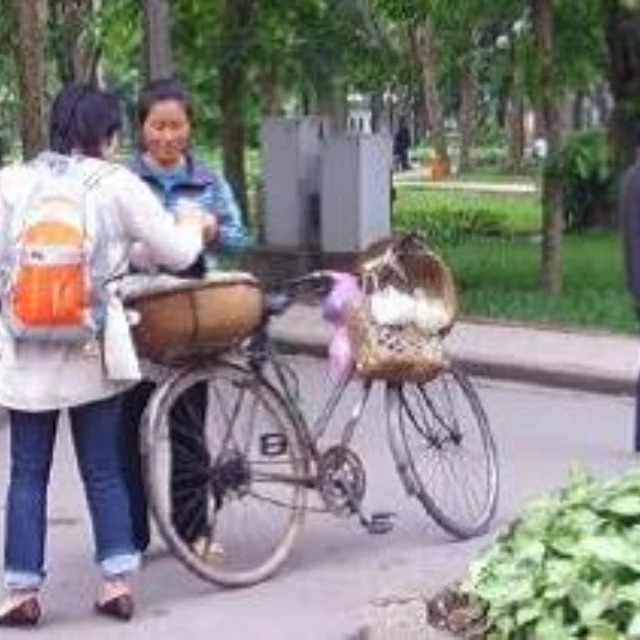 <p>Are street vendors an urban menace?</p>
