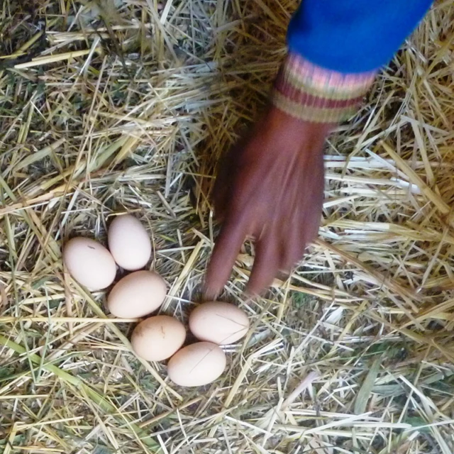 <p>Impact Story: Improved farming, healthier families in Bolivia</p>
