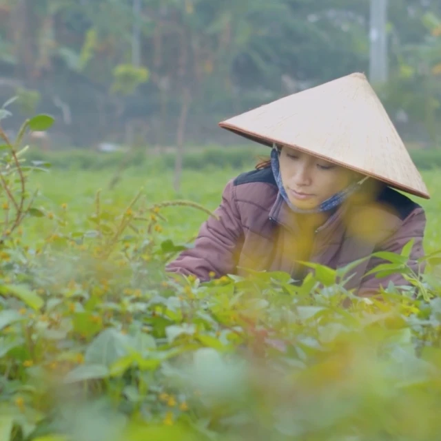 <p>Livable Cities documentary on the use of public spaces by young female migrants to build their life in Hanoi</p>
