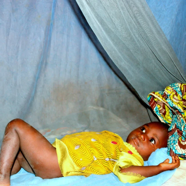 <p>Diagnosing fevers better by mapping deadly mosquitoes in Tanzania</p>
