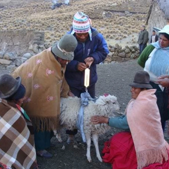 <p>Board member will double your donation for our project Small Animals, Big Changes</p>
