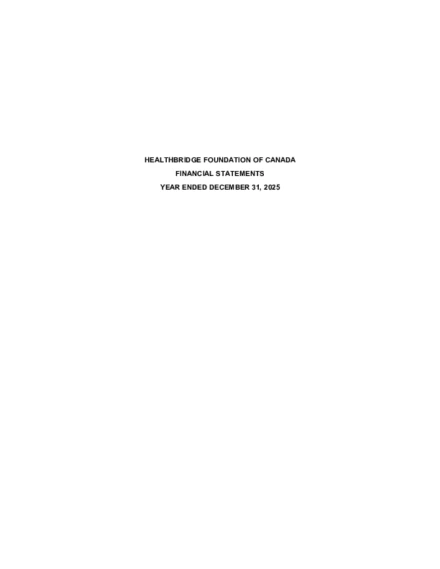 HealthBridge audited financial statement 2025