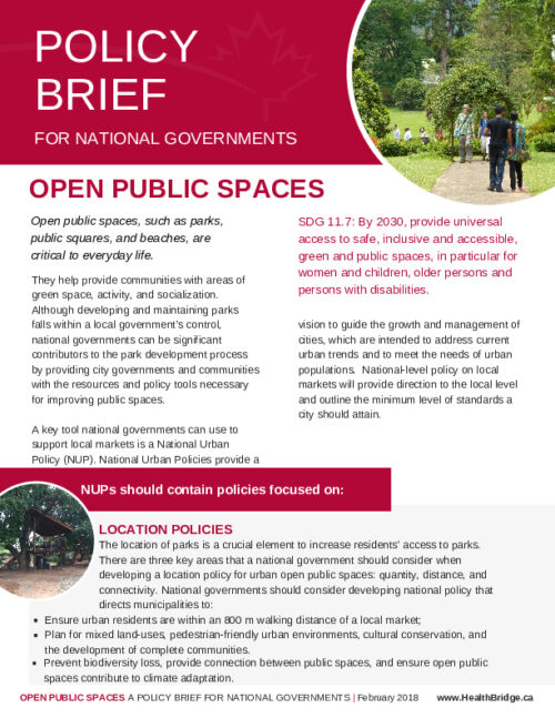Policy Brief: Open Public Spaces (National Government)