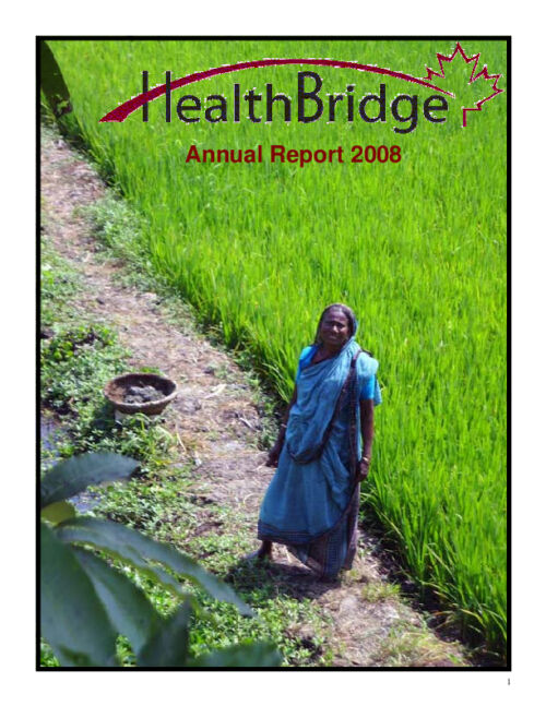 HealthBridge Annual Report 2008