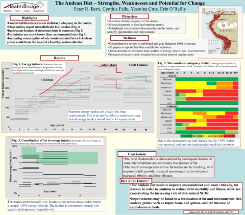 The Andean Diet: Strengths, Weaknesses and Potential for Change
