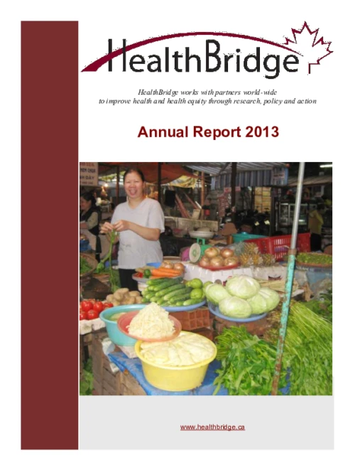 HealthBridge Annual Report 2013